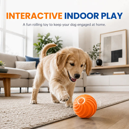 🎁Automatisk smart erteball som ikke kan bites🐶