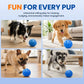 🎁Automatisk smart erteball som ikke kan bites🐶