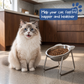 ✨ 50 % rabatt 🥣 Ortopedisk skål med 15 graders helling 🐱🐶 Mindre belastning på nakken, enklere måltider for kjæledyrene dine 💖