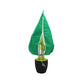 🌿❄️Profesjonell plantebeskyttelse mot frost – 80 g non-woven – Varmeisolerende – Pustende – Slitesterk – For trær, busker og grønnsaker 🧵🌱🛡️