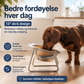 ✨ 50 % rabatt 🥣 Ortopedisk skål med 15 graders helling 🐱🐶 Mindre belastning på nakken, enklere måltider for kjæledyrene dine 💖