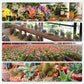 Kraftige antibakterielle brusetabletter for blomster