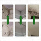 Muggfjerningsspray for vegger