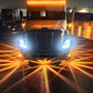 💖2025 Hot Sale💥🚛 LED-sidemarkeringssignalindikatorer