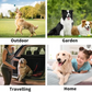 🎁Hot Sale🔥Praktiske og effektive engangs våtservietter for kjæledyr🐾 Hypoallergeniske, 6-pakning