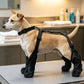 🐾🐕Vanntette anti-fallstøvler til hund med justerbar seleholder