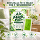 Langtidsvirkende plaster mot midd (med burot) – 1 pakke (6 plaster)