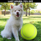 Monster Tennis Ball