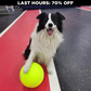 Monster Tennis Ball