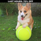 Monster Tennis Ball