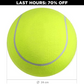 Monster Tennis Ball