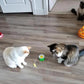 Interaktivt fugleleketøy for katter
